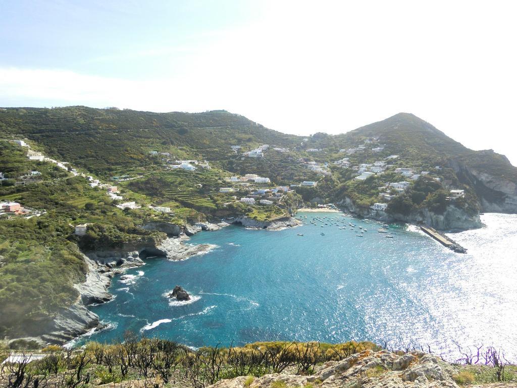 פונזה L'Incanto Di Cala Feola מראה חיצוני תמונה
